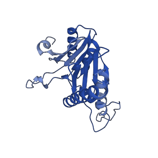 20880_6uti_T_v1-2
Allosteric coupling between alpha-rings of 20S proteasome, 20S proteasome with singly capped PAN complex