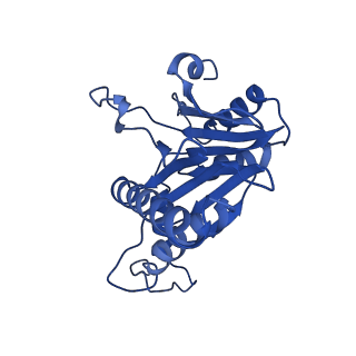 20880_6uti_U_v1-1
Allosteric coupling between alpha-rings of 20S proteasome, 20S proteasome with singly capped PAN complex