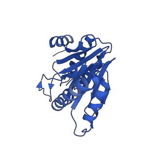 20880_6uti_V_v1-1
Allosteric coupling between alpha-rings of 20S proteasome, 20S proteasome with singly capped PAN complex