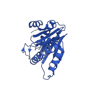 20880_6uti_V_v1-2
Allosteric coupling between alpha-rings of 20S proteasome, 20S proteasome with singly capped PAN complex