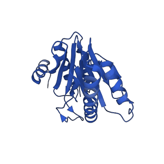 20880_6uti_W_v1-1
Allosteric coupling between alpha-rings of 20S proteasome, 20S proteasome with singly capped PAN complex