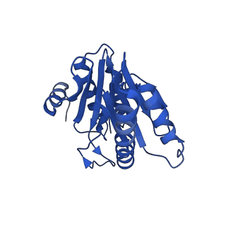 20880_6uti_W_v1-2
Allosteric coupling between alpha-rings of 20S proteasome, 20S proteasome with singly capped PAN complex