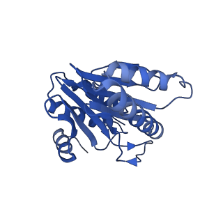 20880_6uti_X_v1-1
Allosteric coupling between alpha-rings of 20S proteasome, 20S proteasome with singly capped PAN complex