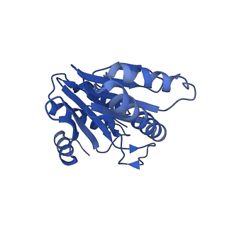 20880_6uti_X_v1-2
Allosteric coupling between alpha-rings of 20S proteasome, 20S proteasome with singly capped PAN complex