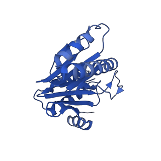 20880_6uti_Y_v1-2
Allosteric coupling between alpha-rings of 20S proteasome, 20S proteasome with singly capped PAN complex