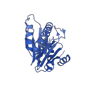 20880_6uti_Z_v1-1
Allosteric coupling between alpha-rings of 20S proteasome, 20S proteasome with singly capped PAN complex