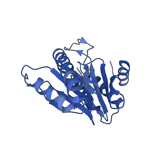 20880_6uti_a_v1-1
Allosteric coupling between alpha-rings of 20S proteasome, 20S proteasome with singly capped PAN complex