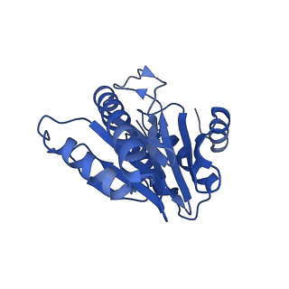 20880_6uti_a_v1-2
Allosteric coupling between alpha-rings of 20S proteasome, 20S proteasome with singly capped PAN complex