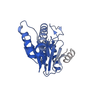 20881_6utj_1_v1-2
Allosteric couple between alpha rings of the 20S proteasome. 20S proteasome singly capped by PA26/E102A, C-terminus replaced by PAN C-terminus