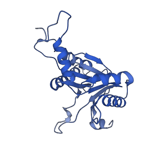 20881_6utj_A_v1-1
Allosteric couple between alpha rings of the 20S proteasome. 20S proteasome singly capped by PA26/E102A, C-terminus replaced by PAN C-terminus