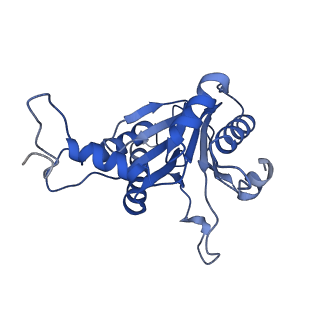 20881_6utj_B_v1-1
Allosteric couple between alpha rings of the 20S proteasome. 20S proteasome singly capped by PA26/E102A, C-terminus replaced by PAN C-terminus