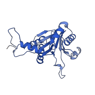 20881_6utj_B_v1-2
Allosteric couple between alpha rings of the 20S proteasome. 20S proteasome singly capped by PA26/E102A, C-terminus replaced by PAN C-terminus