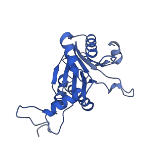 20881_6utj_C_v1-1
Allosteric couple between alpha rings of the 20S proteasome. 20S proteasome singly capped by PA26/E102A, C-terminus replaced by PAN C-terminus