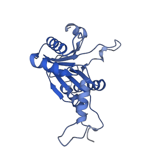 20881_6utj_D_v1-2
Allosteric couple between alpha rings of the 20S proteasome. 20S proteasome singly capped by PA26/E102A, C-terminus replaced by PAN C-terminus