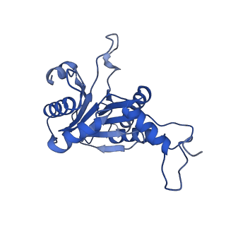 20881_6utj_E_v1-1
Allosteric couple between alpha rings of the 20S proteasome. 20S proteasome singly capped by PA26/E102A, C-terminus replaced by PAN C-terminus