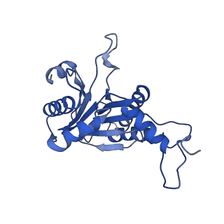 20881_6utj_E_v1-2
Allosteric couple between alpha rings of the 20S proteasome. 20S proteasome singly capped by PA26/E102A, C-terminus replaced by PAN C-terminus