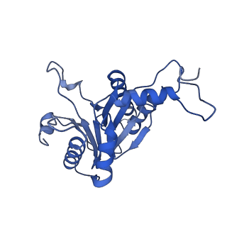 20881_6utj_F_v1-1
Allosteric couple between alpha rings of the 20S proteasome. 20S proteasome singly capped by PA26/E102A, C-terminus replaced by PAN C-terminus
