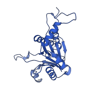 20881_6utj_G_v1-1
Allosteric couple between alpha rings of the 20S proteasome. 20S proteasome singly capped by PA26/E102A, C-terminus replaced by PAN C-terminus