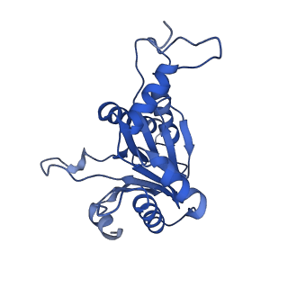 20881_6utj_G_v1-2
Allosteric couple between alpha rings of the 20S proteasome. 20S proteasome singly capped by PA26/E102A, C-terminus replaced by PAN C-terminus