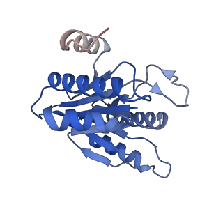 20881_6utj_I_v1-1
Allosteric couple between alpha rings of the 20S proteasome. 20S proteasome singly capped by PA26/E102A, C-terminus replaced by PAN C-terminus