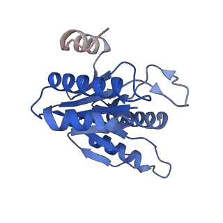 20881_6utj_I_v1-2
Allosteric couple between alpha rings of the 20S proteasome. 20S proteasome singly capped by PA26/E102A, C-terminus replaced by PAN C-terminus