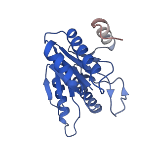 20881_6utj_J_v1-1
Allosteric couple between alpha rings of the 20S proteasome. 20S proteasome singly capped by PA26/E102A, C-terminus replaced by PAN C-terminus