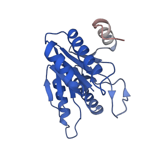 20881_6utj_J_v1-2
Allosteric couple between alpha rings of the 20S proteasome. 20S proteasome singly capped by PA26/E102A, C-terminus replaced by PAN C-terminus