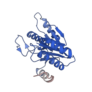 20881_6utj_M_v1-1
Allosteric couple between alpha rings of the 20S proteasome. 20S proteasome singly capped by PA26/E102A, C-terminus replaced by PAN C-terminus
