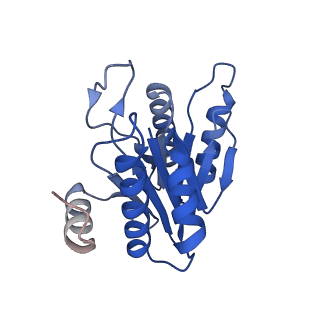 20881_6utj_N_v1-1
Allosteric couple between alpha rings of the 20S proteasome. 20S proteasome singly capped by PA26/E102A, C-terminus replaced by PAN C-terminus