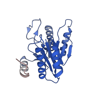 20881_6utj_N_v1-2
Allosteric couple between alpha rings of the 20S proteasome. 20S proteasome singly capped by PA26/E102A, C-terminus replaced by PAN C-terminus