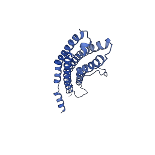 20881_6utj_O_v1-2
Allosteric couple between alpha rings of the 20S proteasome. 20S proteasome singly capped by PA26/E102A, C-terminus replaced by PAN C-terminus