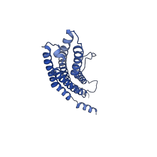 20881_6utj_P_v1-2
Allosteric couple between alpha rings of the 20S proteasome. 20S proteasome singly capped by PA26/E102A, C-terminus replaced by PAN C-terminus