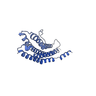 20881_6utj_Q_v1-2
Allosteric couple between alpha rings of the 20S proteasome. 20S proteasome singly capped by PA26/E102A, C-terminus replaced by PAN C-terminus