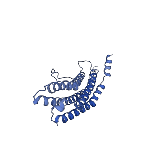 20881_6utj_R_v1-1
Allosteric couple between alpha rings of the 20S proteasome. 20S proteasome singly capped by PA26/E102A, C-terminus replaced by PAN C-terminus