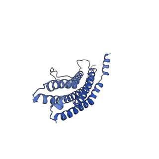 20881_6utj_R_v1-2
Allosteric couple between alpha rings of the 20S proteasome. 20S proteasome singly capped by PA26/E102A, C-terminus replaced by PAN C-terminus