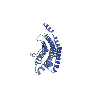 20881_6utj_S_v1-1
Allosteric couple between alpha rings of the 20S proteasome. 20S proteasome singly capped by PA26/E102A, C-terminus replaced by PAN C-terminus