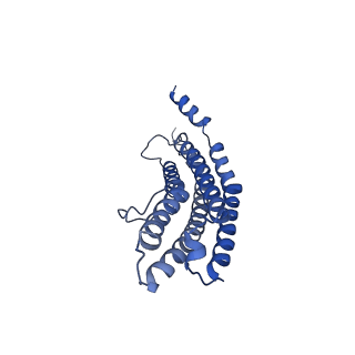 20881_6utj_S_v1-2
Allosteric couple between alpha rings of the 20S proteasome. 20S proteasome singly capped by PA26/E102A, C-terminus replaced by PAN C-terminus