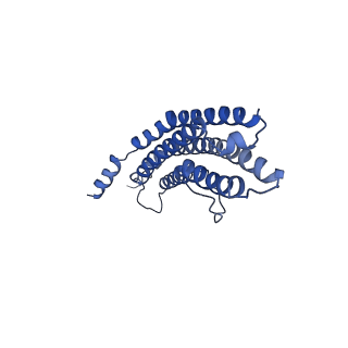 20881_6utj_U_v1-2
Allosteric couple between alpha rings of the 20S proteasome. 20S proteasome singly capped by PA26/E102A, C-terminus replaced by PAN C-terminus