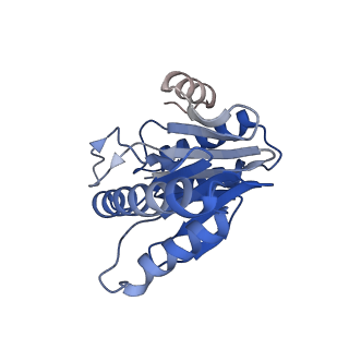 20881_6utj_V_v1-1
Allosteric couple between alpha rings of the 20S proteasome. 20S proteasome singly capped by PA26/E102A, C-terminus replaced by PAN C-terminus