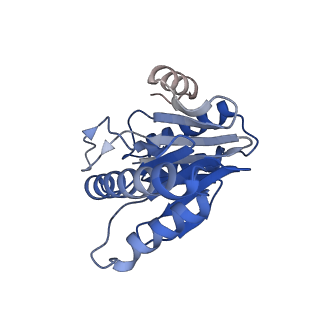 20881_6utj_V_v1-2
Allosteric couple between alpha rings of the 20S proteasome. 20S proteasome singly capped by PA26/E102A, C-terminus replaced by PAN C-terminus