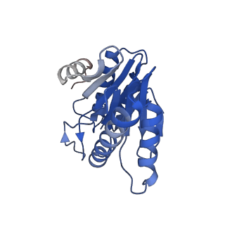 20881_6utj_W_v1-1
Allosteric couple between alpha rings of the 20S proteasome. 20S proteasome singly capped by PA26/E102A, C-terminus replaced by PAN C-terminus