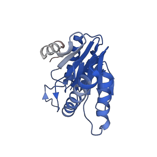 20881_6utj_W_v1-2
Allosteric couple between alpha rings of the 20S proteasome. 20S proteasome singly capped by PA26/E102A, C-terminus replaced by PAN C-terminus