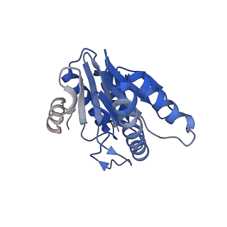 20881_6utj_X_v1-1
Allosteric couple between alpha rings of the 20S proteasome. 20S proteasome singly capped by PA26/E102A, C-terminus replaced by PAN C-terminus