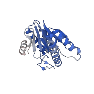 20881_6utj_X_v1-2
Allosteric couple between alpha rings of the 20S proteasome. 20S proteasome singly capped by PA26/E102A, C-terminus replaced by PAN C-terminus