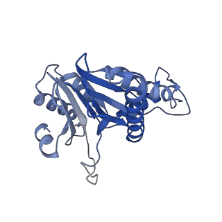 20881_6utj_a_v1-1
Allosteric couple between alpha rings of the 20S proteasome. 20S proteasome singly capped by PA26/E102A, C-terminus replaced by PAN C-terminus