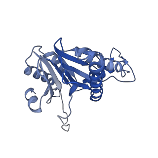 20881_6utj_a_v1-2
Allosteric couple between alpha rings of the 20S proteasome. 20S proteasome singly capped by PA26/E102A, C-terminus replaced by PAN C-terminus