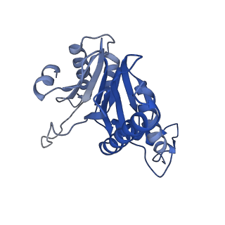 20881_6utj_b_v1-1
Allosteric couple between alpha rings of the 20S proteasome. 20S proteasome singly capped by PA26/E102A, C-terminus replaced by PAN C-terminus