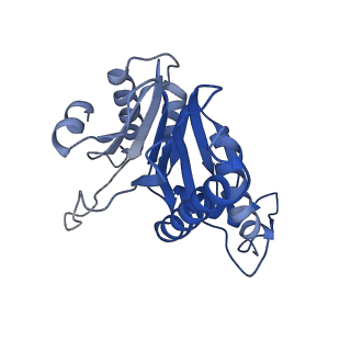 20881_6utj_b_v1-2
Allosteric couple between alpha rings of the 20S proteasome. 20S proteasome singly capped by PA26/E102A, C-terminus replaced by PAN C-terminus