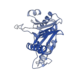 20881_6utj_c_v1-1
Allosteric couple between alpha rings of the 20S proteasome. 20S proteasome singly capped by PA26/E102A, C-terminus replaced by PAN C-terminus
