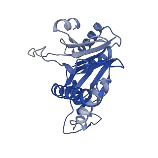 20881_6utj_c_v1-2
Allosteric couple between alpha rings of the 20S proteasome. 20S proteasome singly capped by PA26/E102A, C-terminus replaced by PAN C-terminus